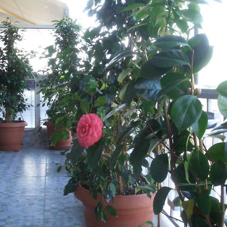 Athens Penthouse Cosy Apartment Экстерьер фото